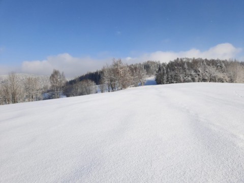 Zapůjčení sněžnic pro...